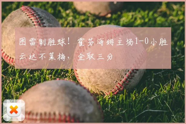 图雷制胜球！霍芬海姆主场1-0小胜云达不莱梅，全取三分