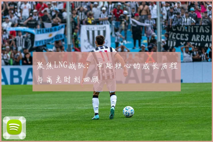 聚焦LNG战队:中路核心的成长历程与高光时刻回顾